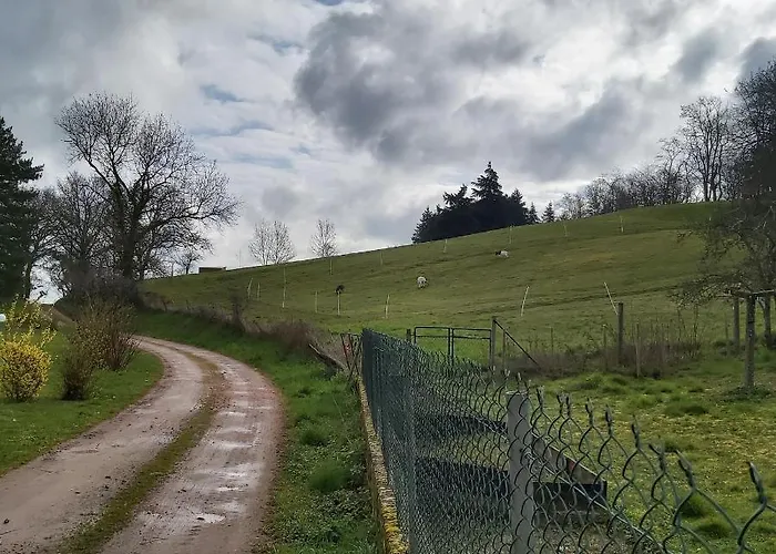 Au Pays D'angeline