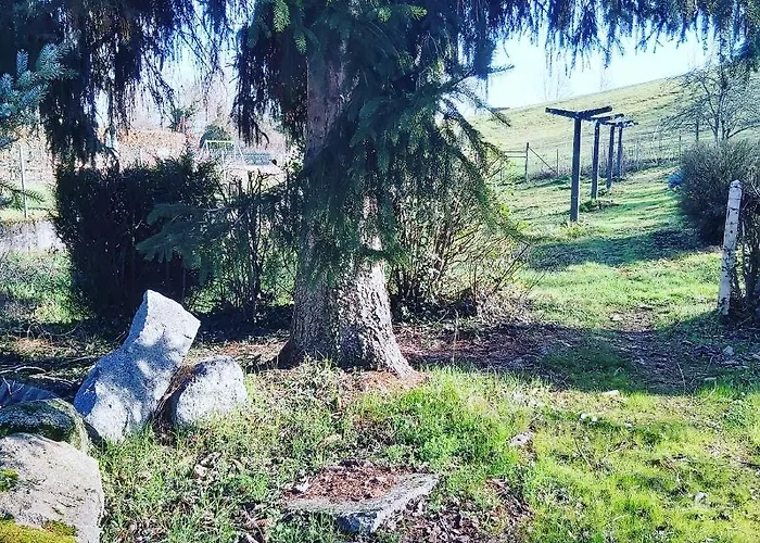 Au Pays D'angeline La Pacaudière