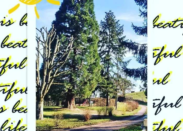 Au Pays D'angeline * La Pacaudière